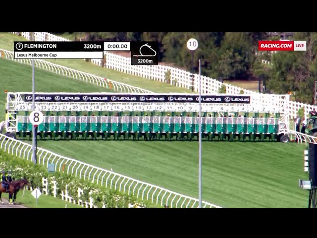 More information about "Video: 2019 Lexus Melbourne Cup won by Vow And Declare!"