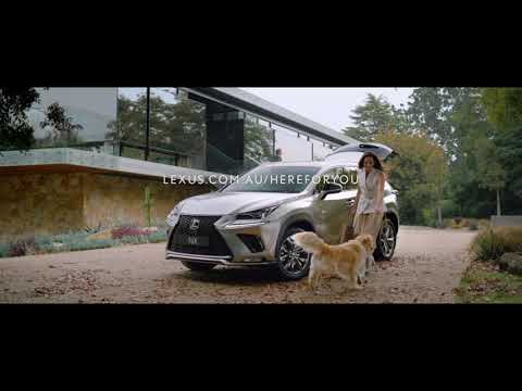 More information about "Video: 2020 Lexus NX Commercial Australia"