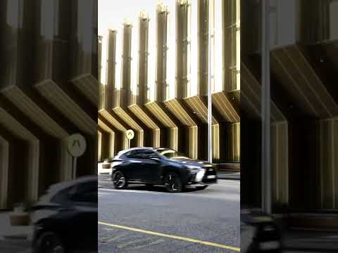 More information about "Video: The Lexus NX #Shorts - Performance"