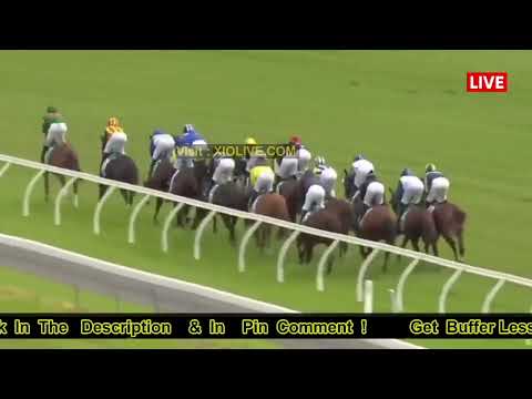 More information about "Video: [(AU-Tv)]Lexus Melbourne Cup Day 2022 live stream @free"