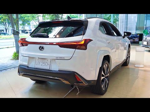 More information about "Video: 2023 Lexus UX 250h Luxury Subcompact Crossover"