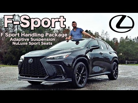 More information about "Video: 2023 Lexus nx 350 F-Sport: All Spec & Test Drive"