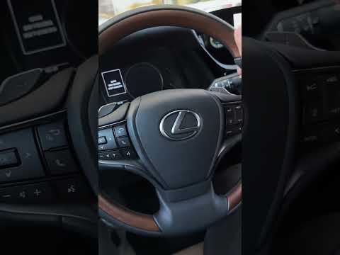 More information about "Video: Lexus ES200 Premium Sports Car #short #shorts"