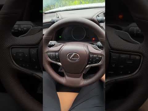 More information about "Video: Lexus ES300h Quick Look #short #shorts"