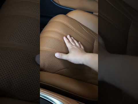 More information about "Video: Lexus LS500h ASMR Review Part 2 #short #shorts"