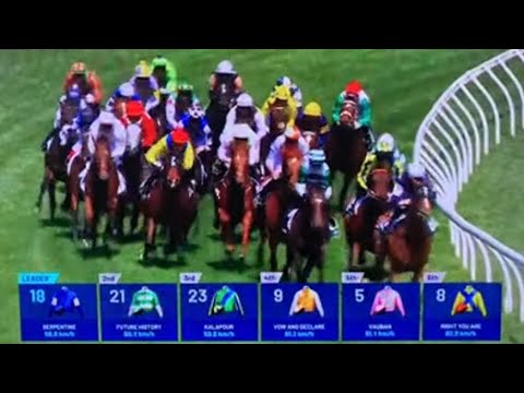 More information about "Video: Melbourne Cup 2023"