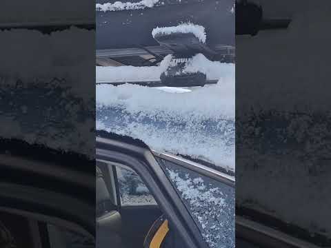 More information about "Video: Cleaning the Ice of a Lexus from Sydney that's never seen snow"