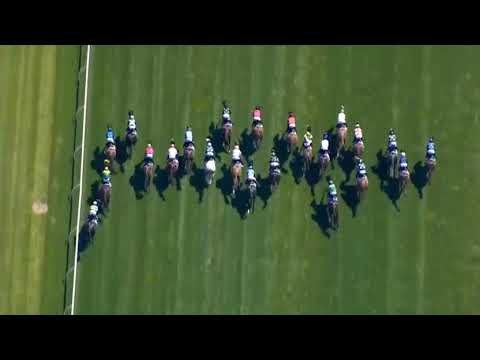 More information about "Video: Race (1) 04:00 Flemington (Australia) 05 Nov 2024 Lexus Melbourne Cup Group 1 Handicap | (Class 1 )"