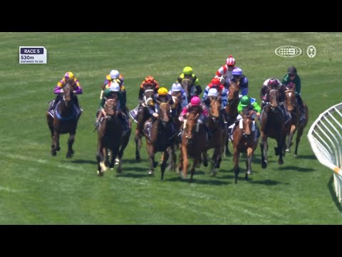 More information about "Video: Garachico – Australian Heritage Cup – Lexus Melbourne Cup Day, Race 5"